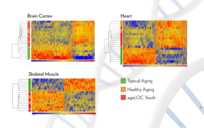 CHARTS-DNA-02-02 (1)